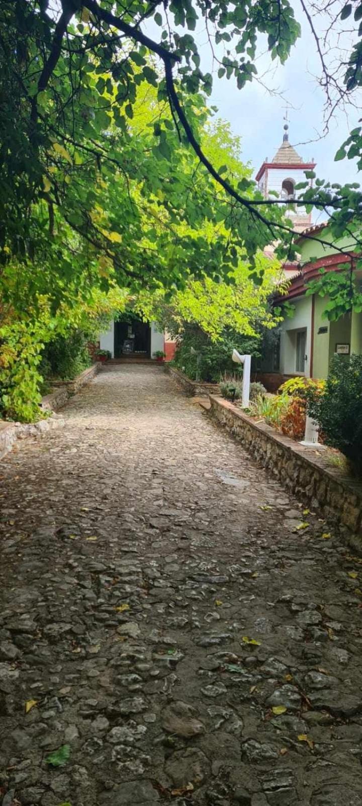 Apartamento Cobre Riópar Exteriör bild
